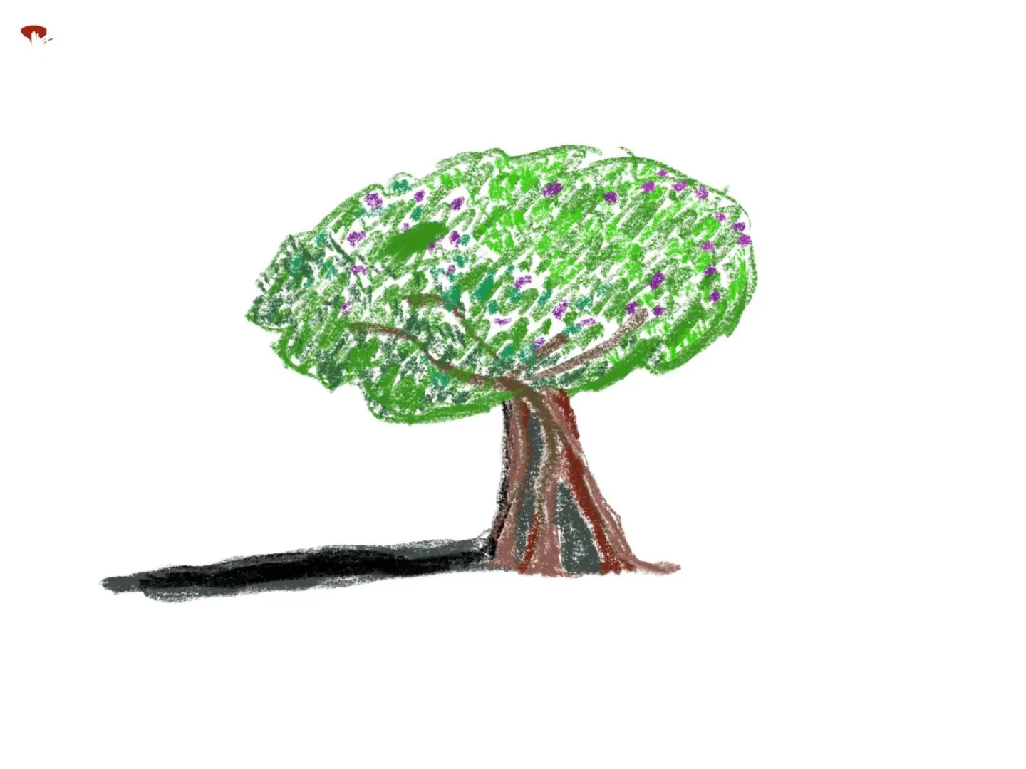 A tree with green leaves and white flowers.